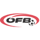 奥业余杯logo