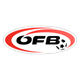 奥丁logo