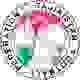 塔吉克联U21logo