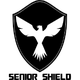 高级银牌赛logo
